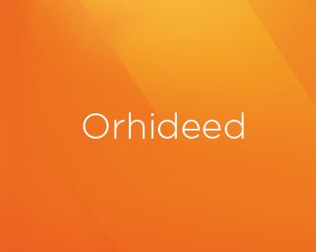 Orhideed