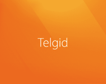 Telgid