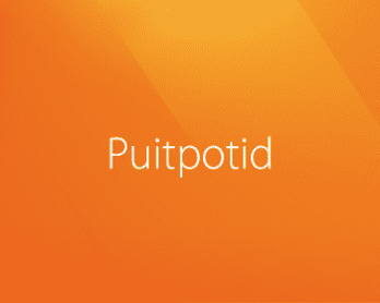 Puitpotid