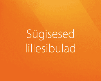 Sügisesed lillesibulad