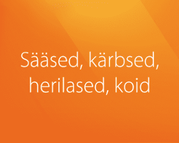 Sääsed, kärbsed, herilased, koid