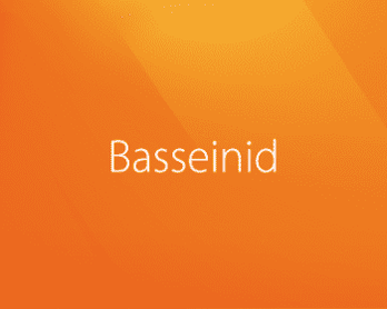 Basseinid