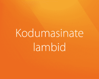 Kodumasinate lambid