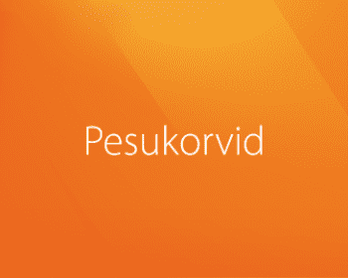 Pesukorvid