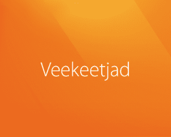 Veekeetjad