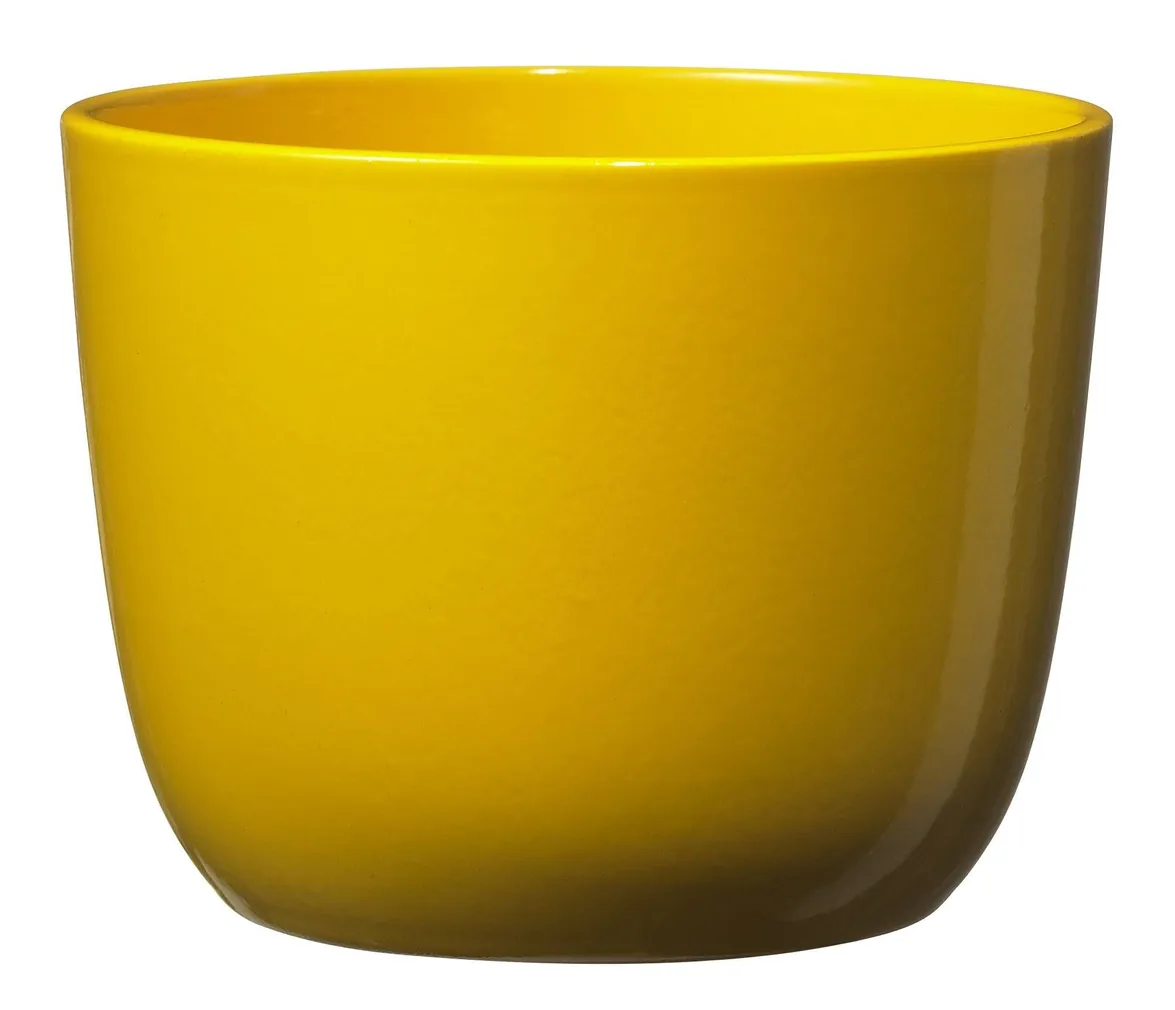 LILLEPOTIÜMBRIS SEVILLA 11CM KOLLANE