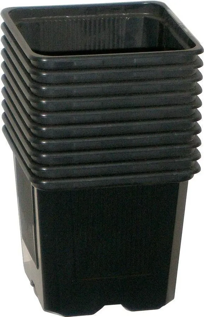 NELIKANTPOTID TEKU 9X9X8CM MUST 10TK PAKIS