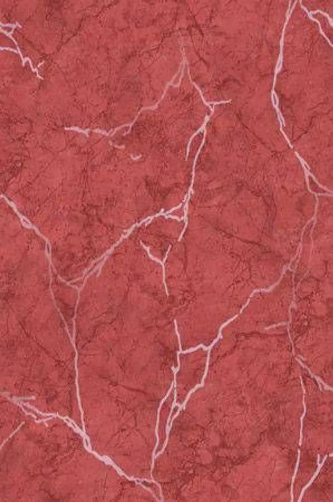 KERAAMILINE SEINAPLAAT 20X30 ALEXANDRIA TUMEROOSA