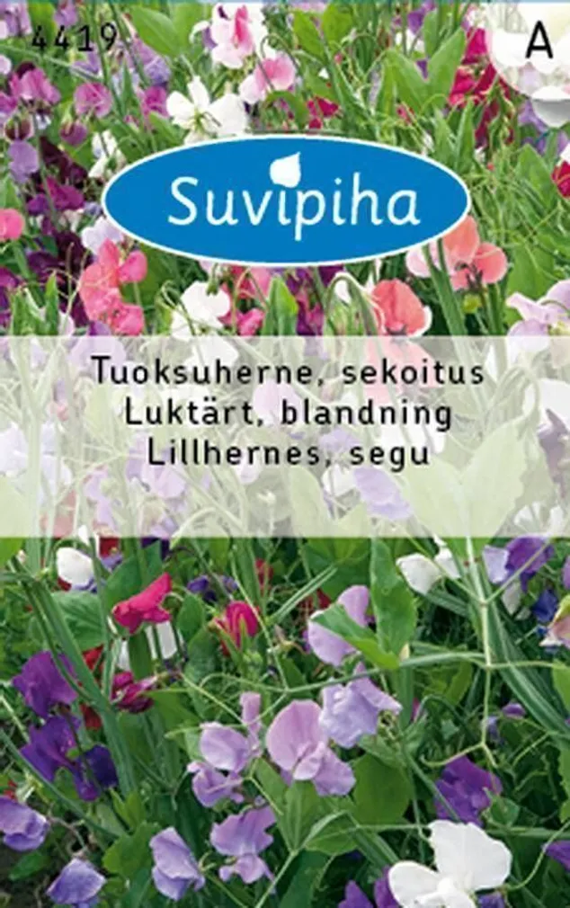 LILLESEEMNED SUVIPIHA LILLHERNES SEGU 