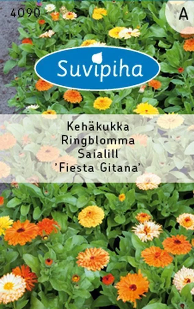 LILLESEEMNED SUVIPIHA SAIALILL FIESTA GITANA MADAL 