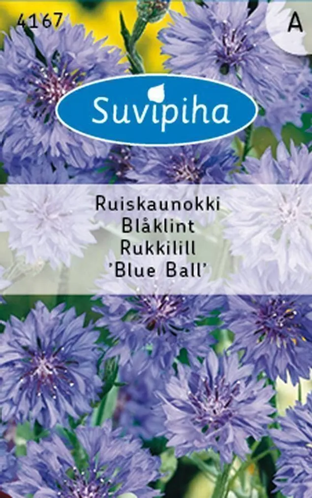 LILLESEEMNED SUVIPIHA RUKKILILL BLUE BALL 