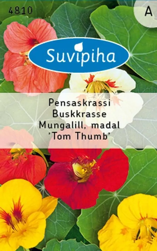 LILLESEEMNED SUVIPIHA MUNGALILL TOM THUMB MADAL 