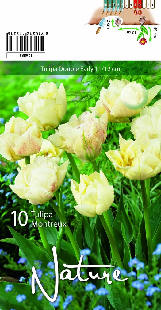 LILLESIBUL TULP DBL.EARLY MONTREUX 10TK PAKIS