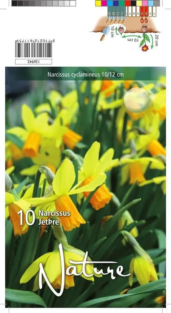 LILLESIBUL NARTSISS JETFIRE 10TK PAKIS