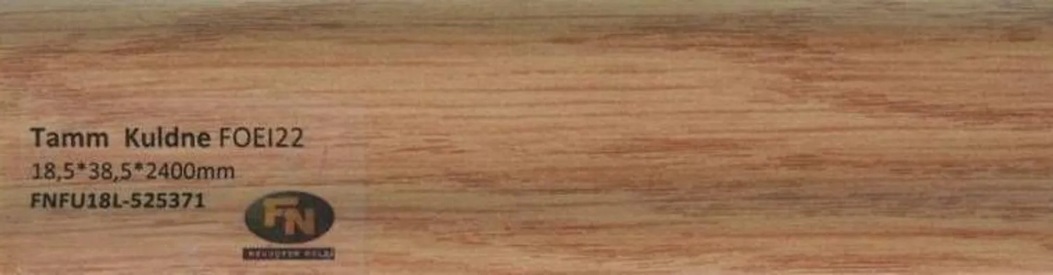 PÕRANDALIIST MDF TAMM KULDNE FOEI022 18,5X38,5X2400MM