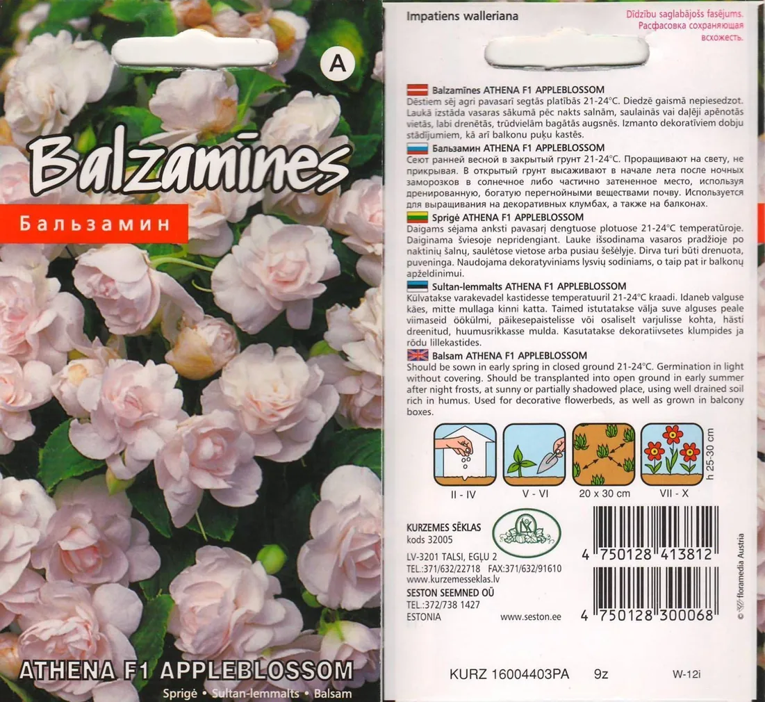 SEEMNED KURZEMES SEKLAS BALZAMIIN "ATHENA F1 APPLEBLOSSOM" 5S