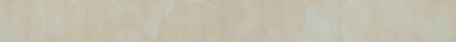 SEINAPANEEL PVC 8X250X2700MM 9310 BEIGE ORCHID