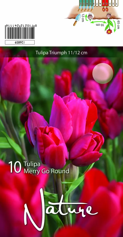 LILLESIBUL TULP TRT MERRY GO ROUND 10TK PAKIS