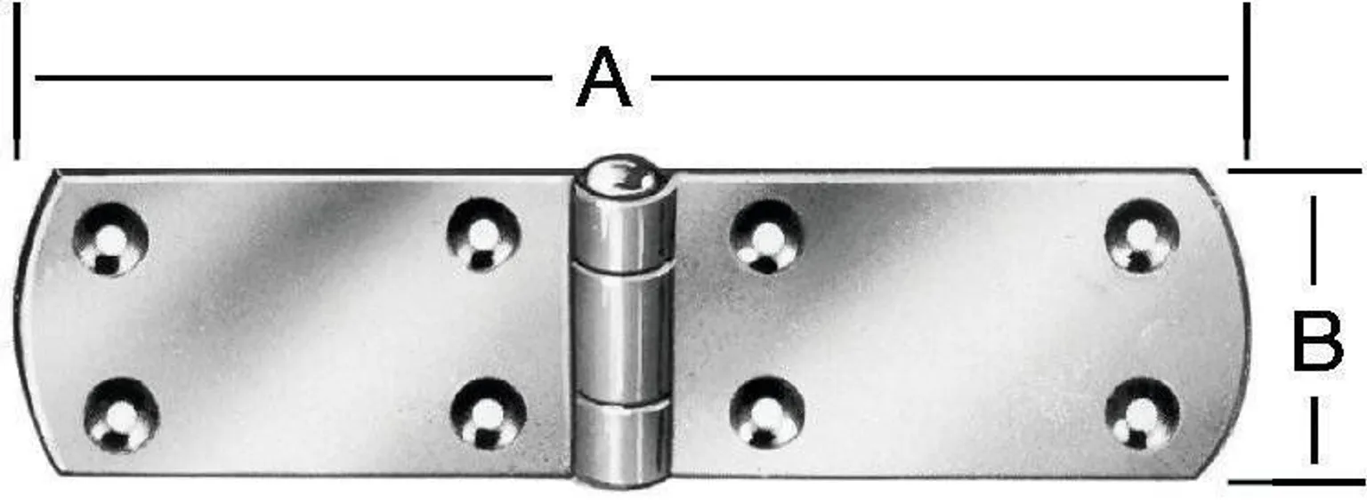 HING 120X30MM