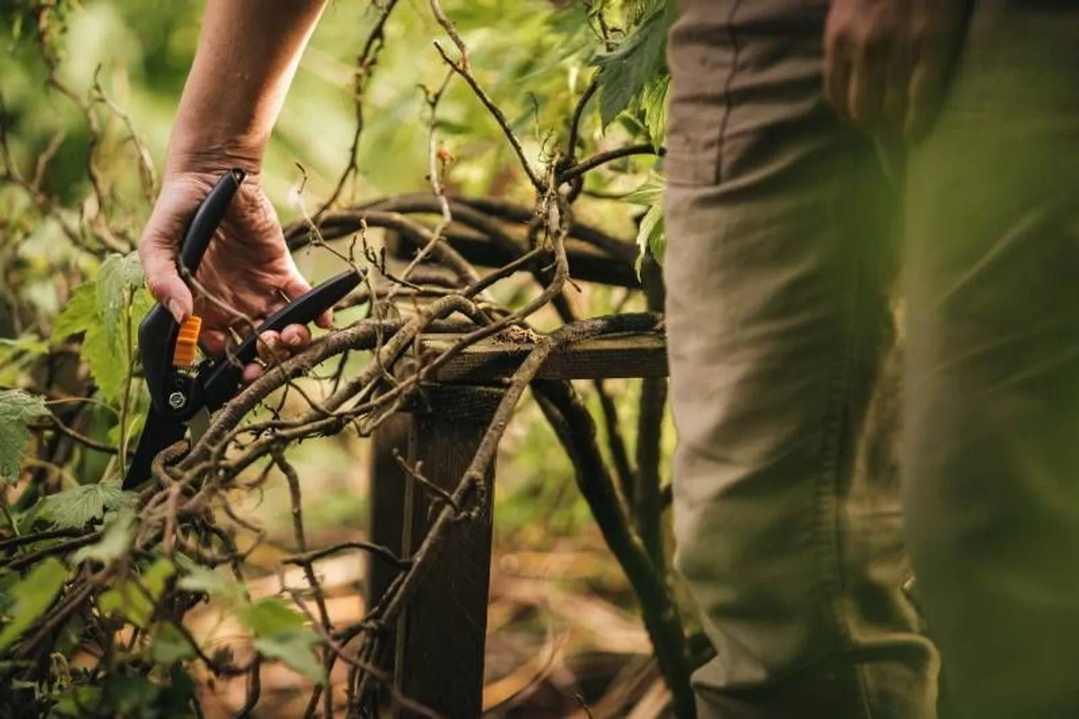 OKSAKÄÄRID FISKARS SINGLE STEP VAHELITI TERADEGA