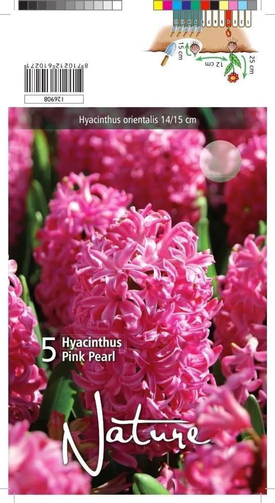 LILLESIBUL HÜATSINT PINK PEARL 5TK PAKIS