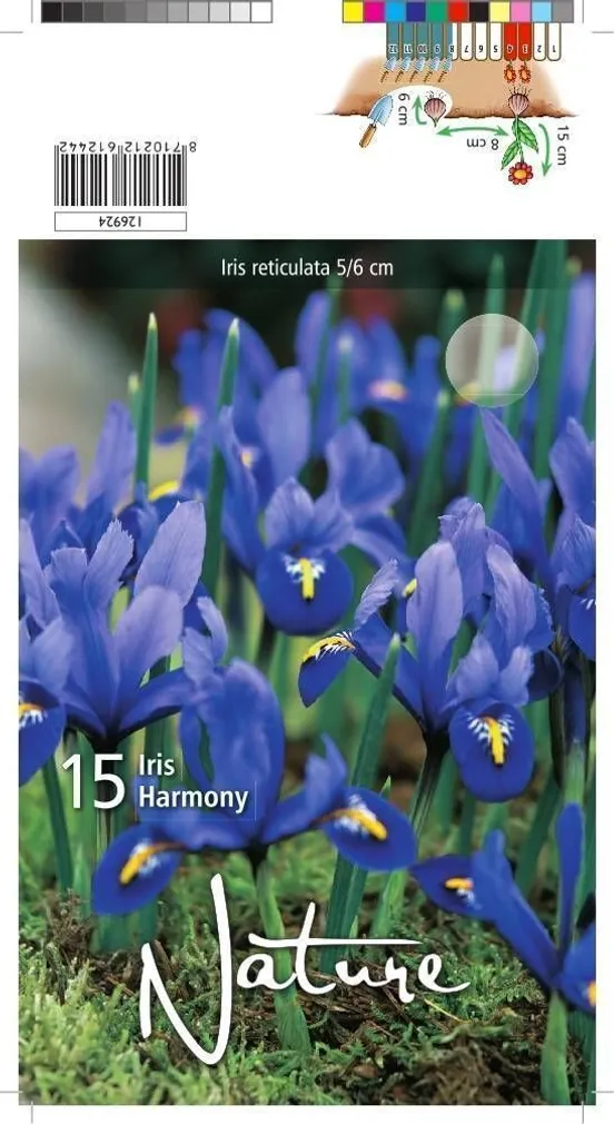 LILLESIBUL IIRIS 15TK PAKIS
