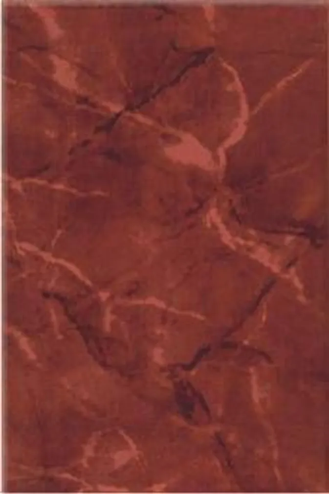 KERAAMILINE SEINAPLAAT ROME DEEP BORDEAUX 200X300MM