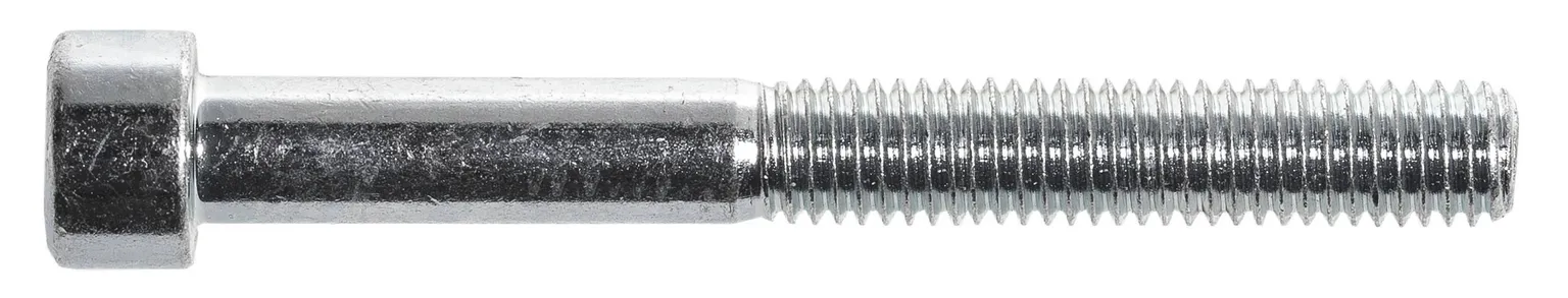 POLT SISEKUUSKANT M10X25 ZN D912 10TK PAKIS