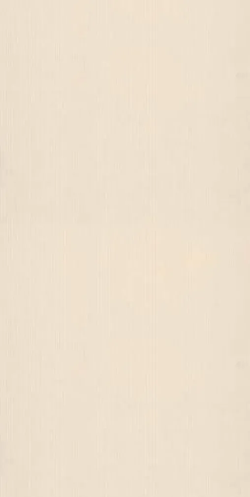 TAPEET AVENZIO4 2480-39