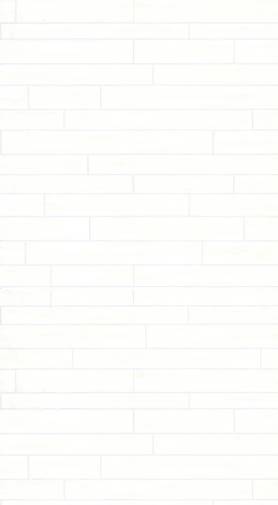 TAPEET P+S 03988-10 10,05X0,53M STONES & STYLE