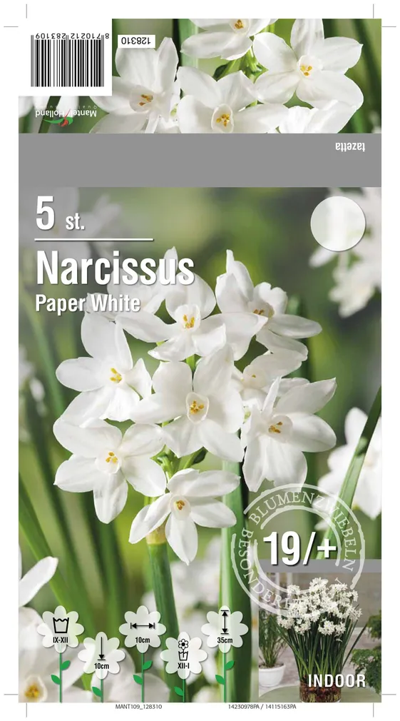 LILLESIBUL NARTSISS PAPER WHITE 5TK PAKIS