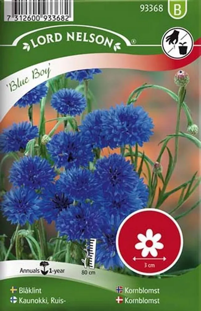 LILLESEEMNED RUKKILILL "BLUE BOY" 5G/PK