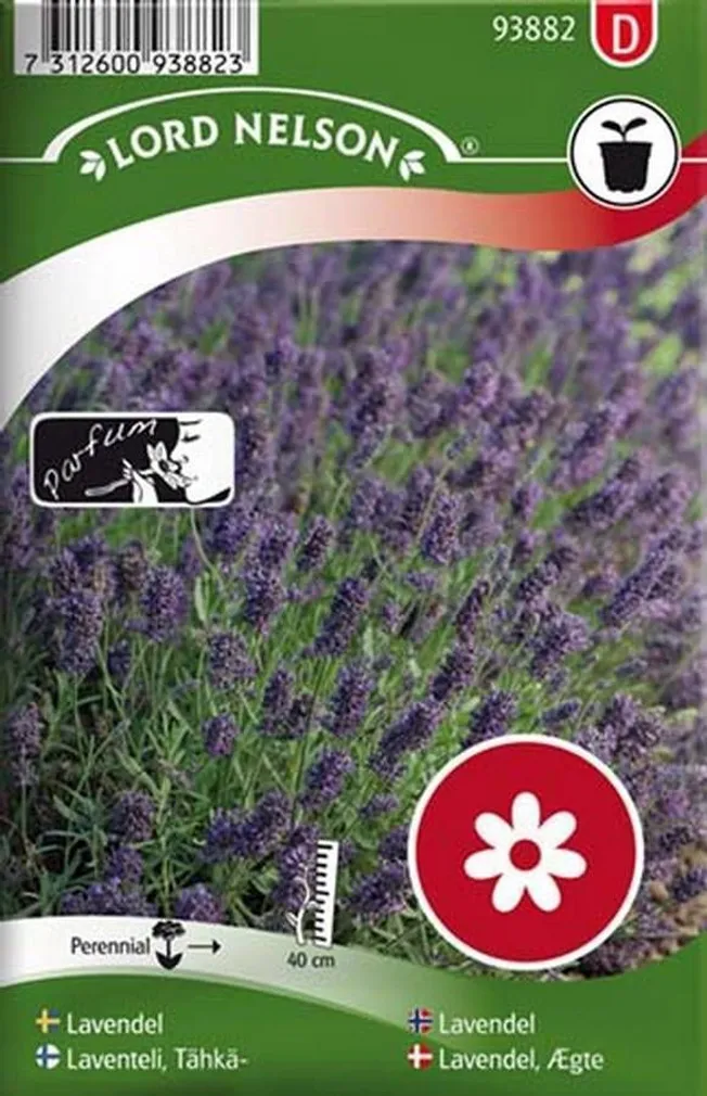 LILLESEEMNED LAVENDEL 5G/PK