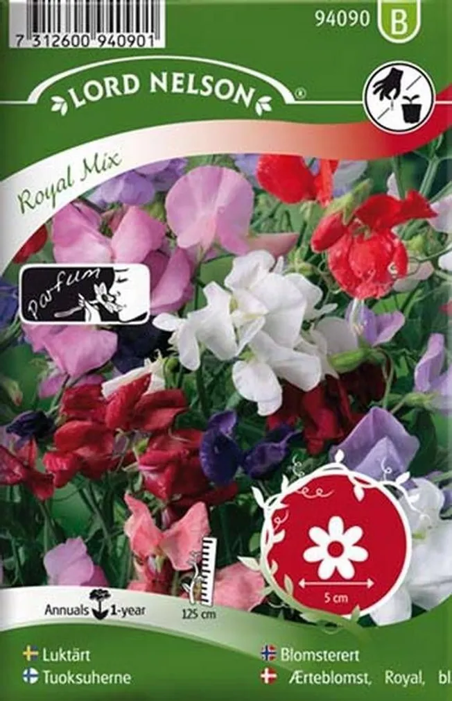 LILLESEEMNED LÕHNAV LILLHERNES "ROYAL" 8G/PK