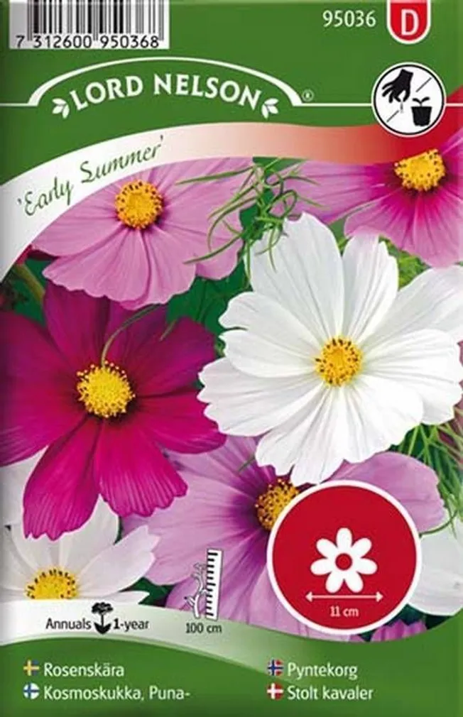 LILLESEEMNED KOSMOS "EARLY SUMMER" 5G/PK