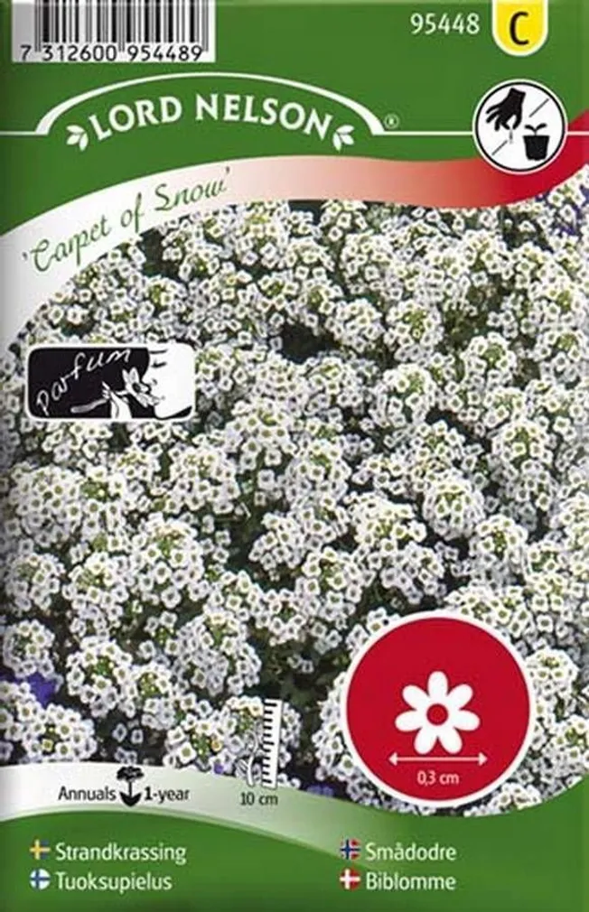 LILLESEEMNED KIVIKILBIK "CARPET OF SNOW" 5G/PK