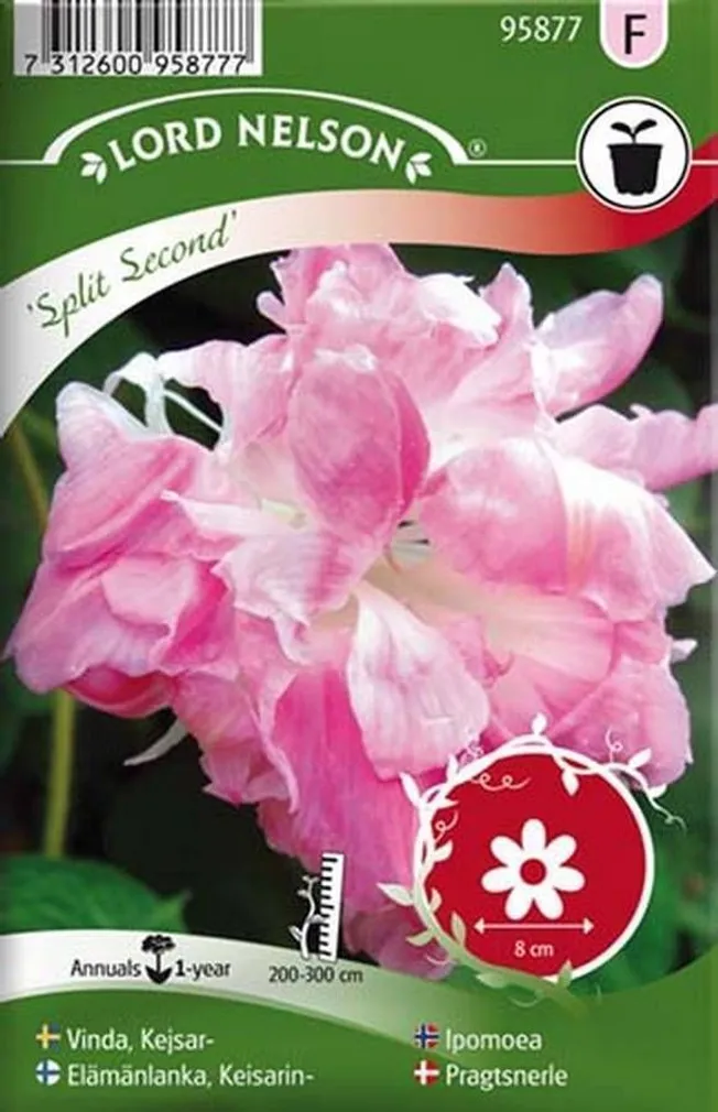 LILLESEEMNED INDIGO-LEHTERTAPP "SPLIT SECOND" 5G/PK