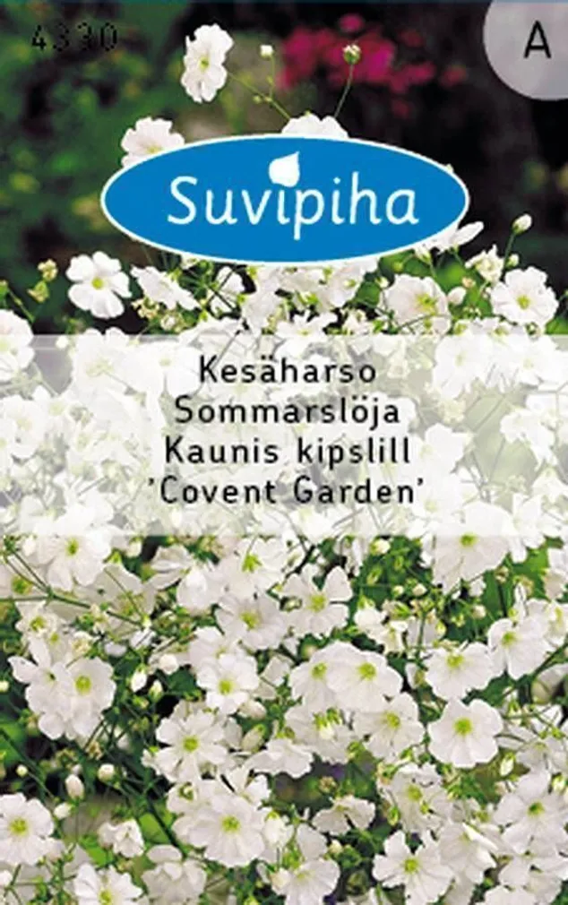 LILLESEEMNED SUVIPIHA KAUNIS KIPSLILL COVENT GARDEN 
