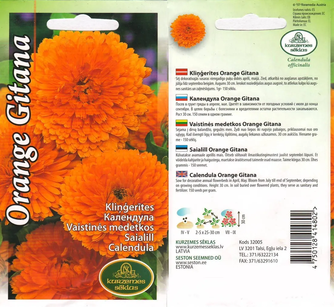 SEEMNED KURZEMES SEKLAS SAIALILL ORANGE GITANA 2 G