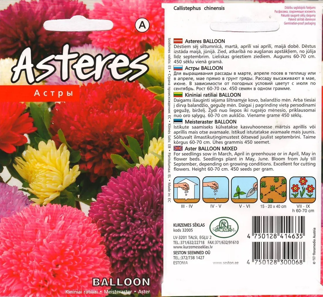 SEEMNED KURZEMES SEKLAS ASTER BALLOON SEGU 0,3 G