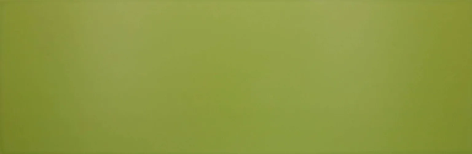 KERAAMILINE SEINAPLAAT PARADYZ MIDIAN VERDE 20X60CM
