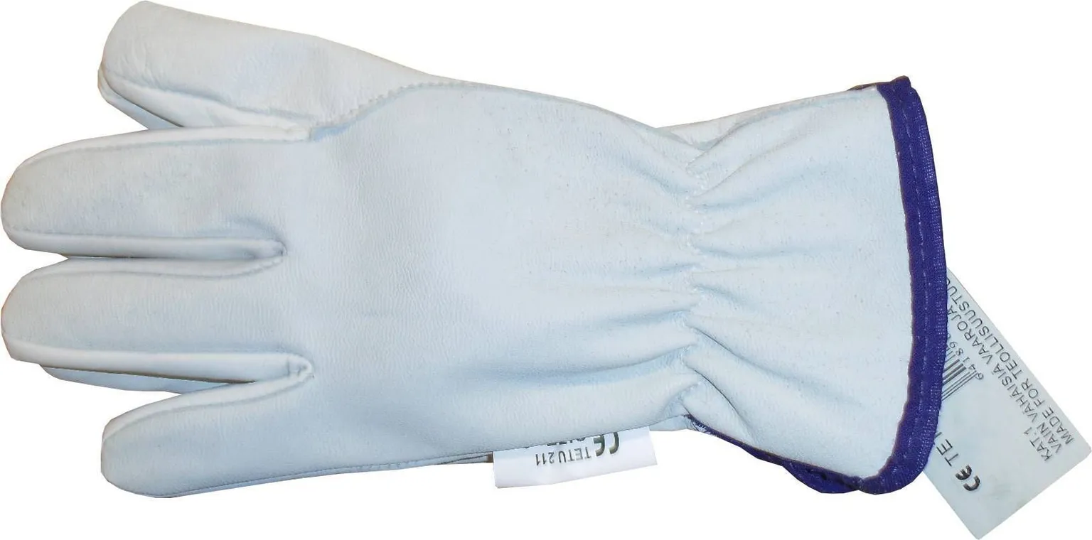 TÖÖKINDAD WORTEX KITSENAHK 211 NR8