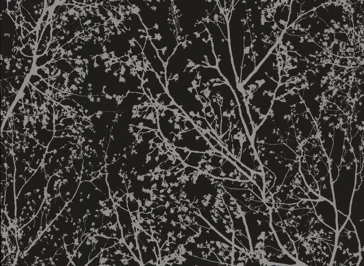 TAPEET P+S 13264-40 10,05X0,53M GRAPHICS ALIVE