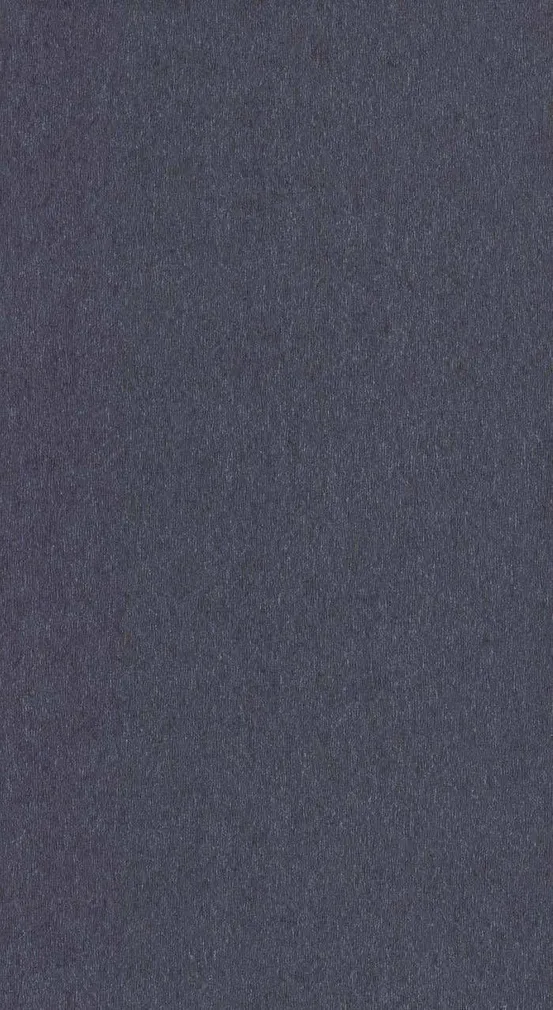 TAPEET P+S 13091-50 10,05X0,53M ORPHEO