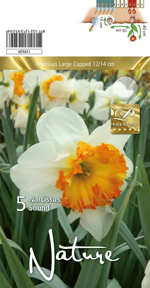 LILLESIBUL NARTSISS LC SOUND 5TK PAKIS