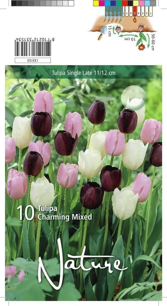 LILLESIBUL TULP ELT CHARMING MIX 10TK PAKIS