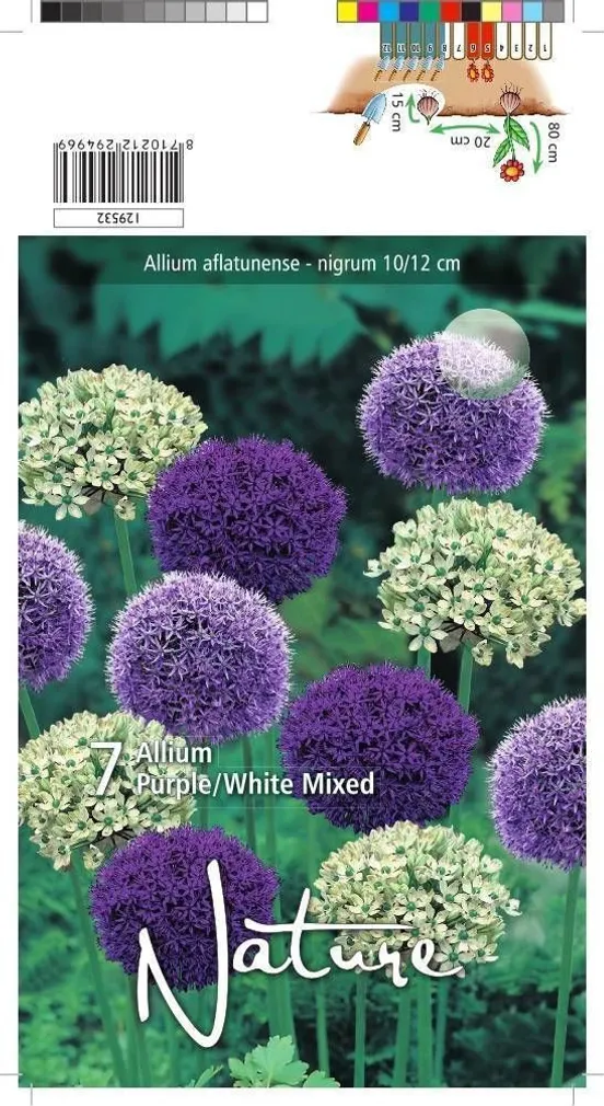 LILLESIBUL LAUK BLUE & WHITE MIX 7TK PAKIS