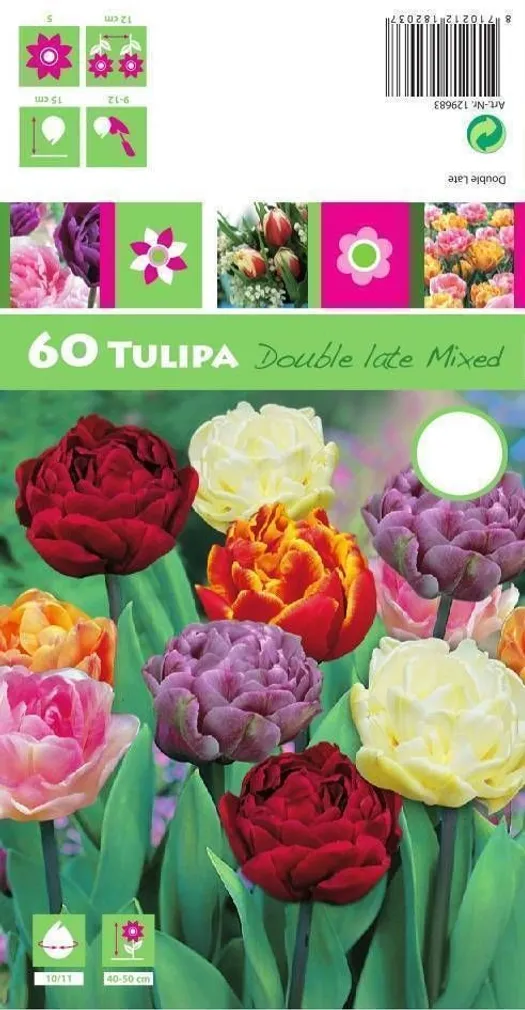 LILLESIBUL TULP DLT MIX 60TK PAKIS