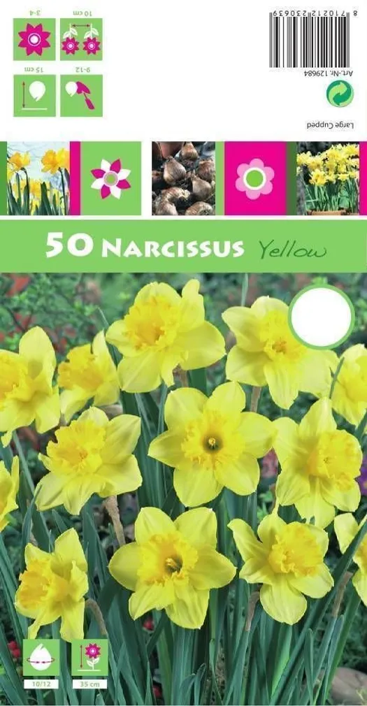LILLESIBUL NARTSISS GK YELLOW 50TK PAKIS