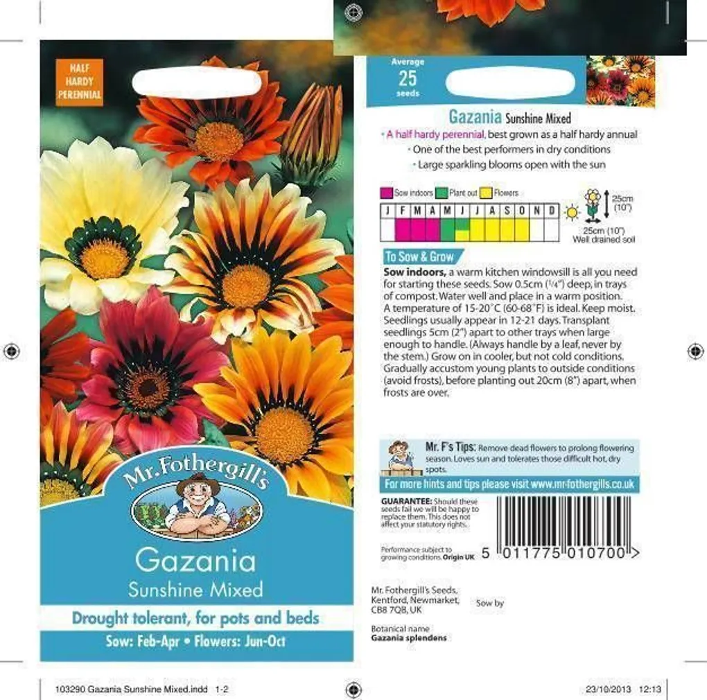 LILLESEEMNED GASAANIA SUNSHINE MIX